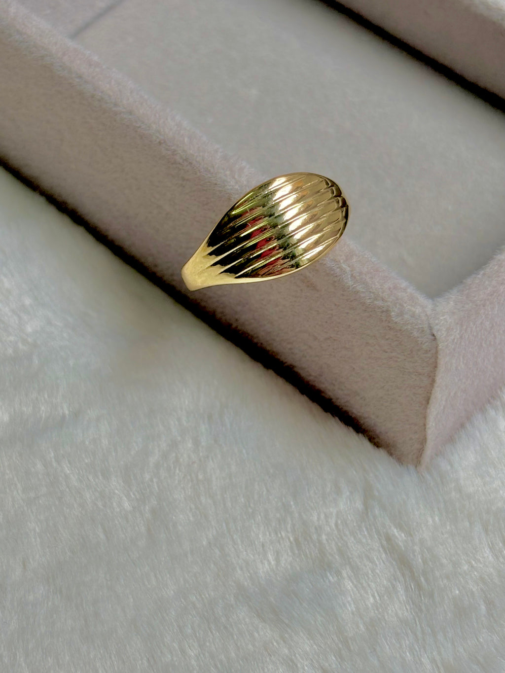 Golden Shell Ring