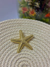 Starfish brooch