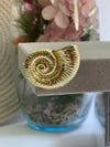 Shell Brooch